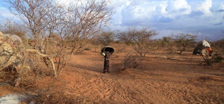 Madagaskar’da acil durum planı: Açlık ve kuraklıkla mücadele edilecek