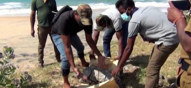 Sri Lanka’daki çevre felaketi büyüyor
