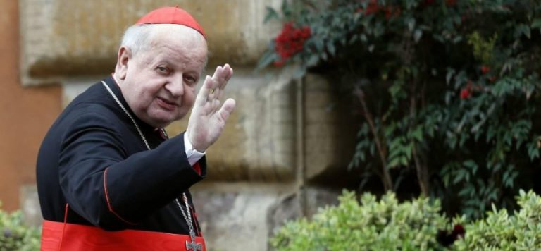 Vatikan’dan Kardinal Dziwisz’e cinsel istismar soruşturması
