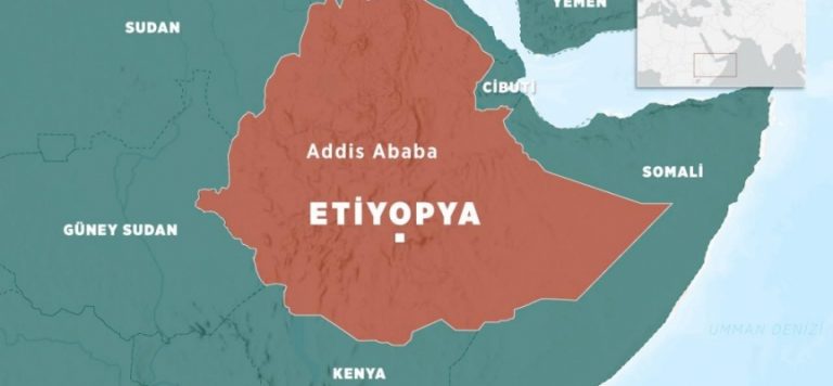 Etiyopya Tigray’da ateşkes ilan etti