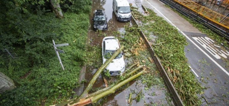 Almanya’da ağaçlar devrildi, caddeler kapatıldı