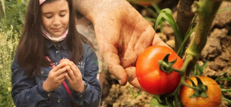 Öğrenciler hobi bahçesinde keyifli vakit geçiriyor