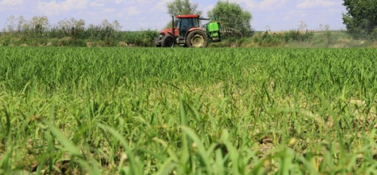 Tarımın ihracattaki payı yüzde 13 oldu