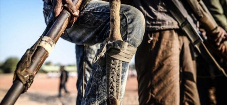 Nijerya’da 91 Boko Haram üyesi teslim oldu