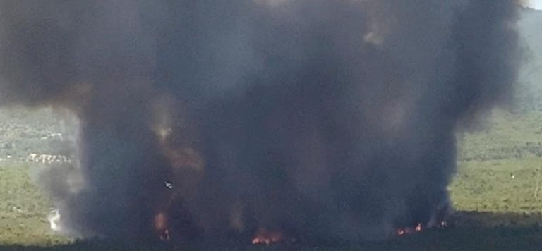 Yunanistan yeni orman yangınlarıyla mücadele ediyor