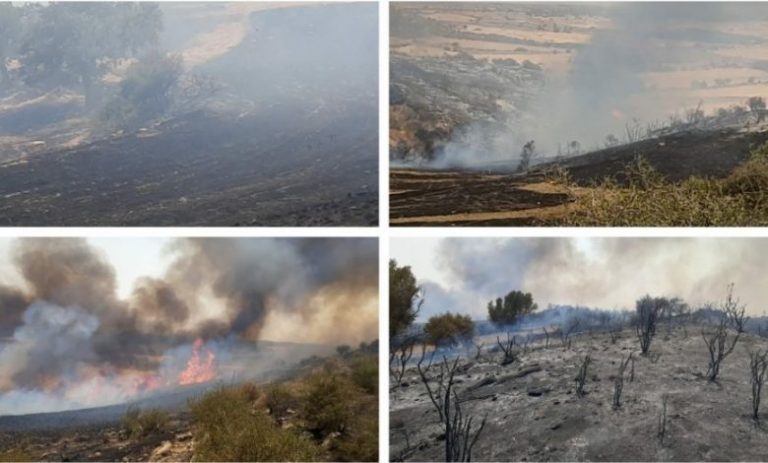 Arıdamı köyünde yangın
