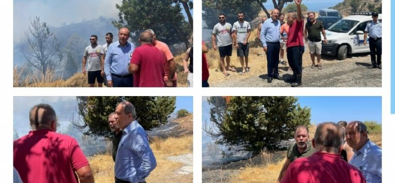 Tatar:Karşıyaka’daki yangını kontrol altına almak için herkes seferberlik halinde