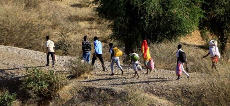 Etiyopya’da çatışmalar, 100 bin kişiyi yerinden etti