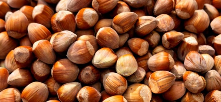 Fındık alım fiyatları belli oldu