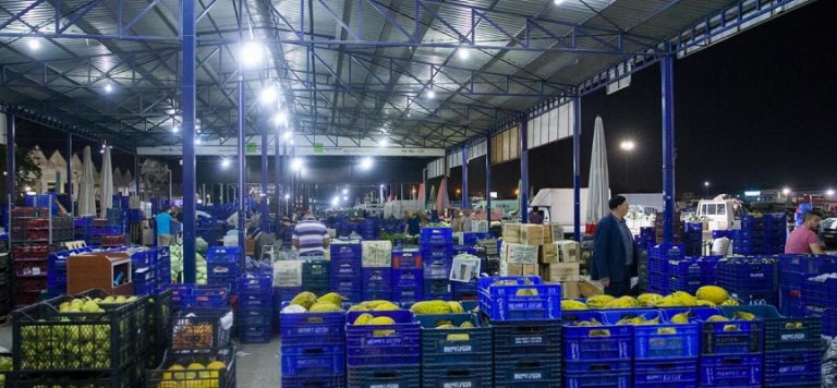 Yaş meyve sebzede en fazla ihracat Rusya’ya