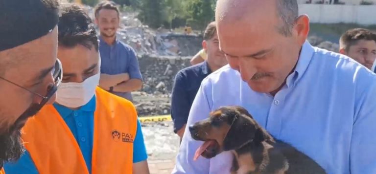 Kuyudan kurtarılan köpeğin ismi ‘Bozkurt’ oldu