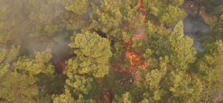 Manavgat yangınında ölü sayısı 8’e çıktı