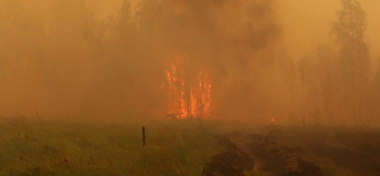Rusya’daki yangınlar yerleşim yerlerini tehdit ediyor