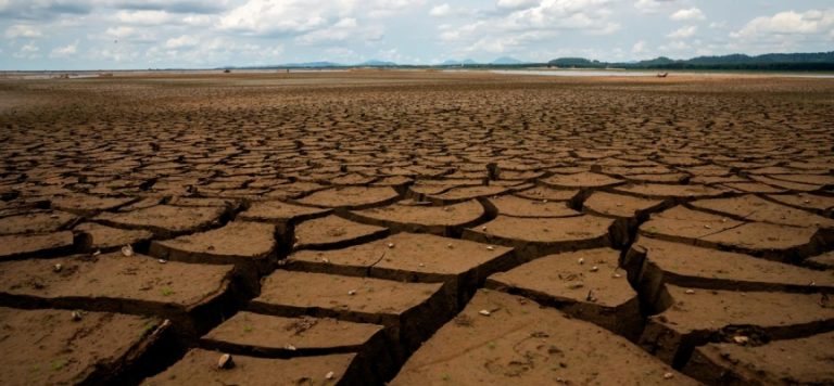 Kazakistan’da iklim krizi: 178 bin hektar tahıl alanı kurudu