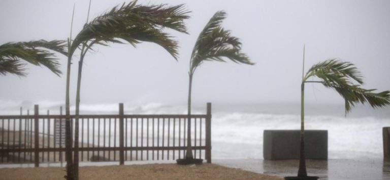 ABD’de Ida kasırgası Louisiana’yı tehdit ediyor