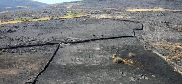 İspanya’da 22 bin hektarlık alan kül oldu