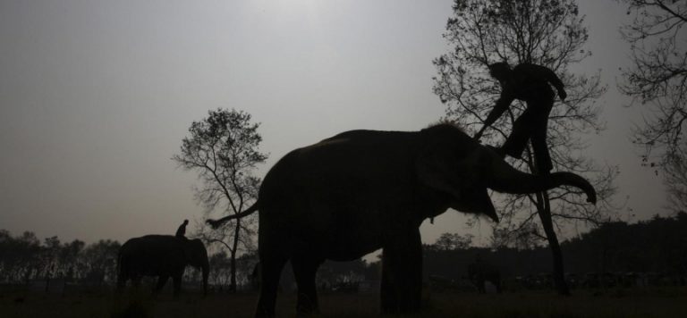 Fille ‘selfie’ çekmeye çalışan kişi ezilerek hayatını kaybetti