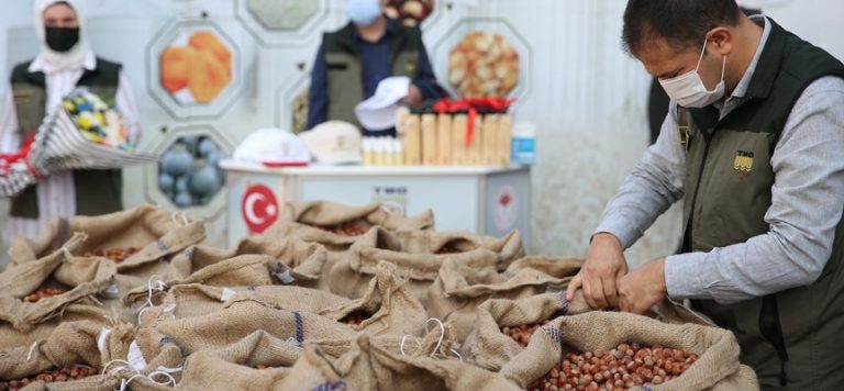 TMO fındık alımlarına başladı