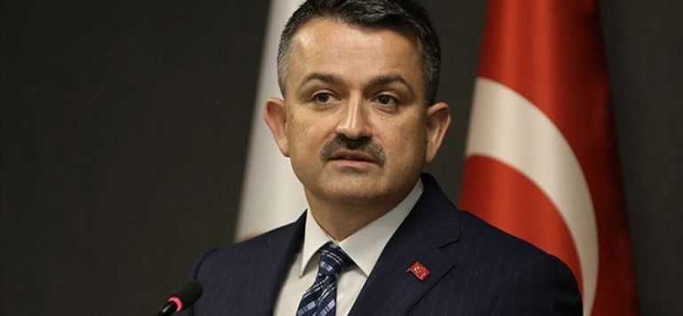 Bakan Pakdemirli: TMO eylülde 800 bin ton hububatı satışa açtı