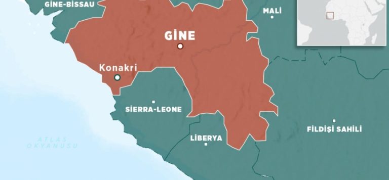 Gine’de cumhurbaşkanlığı sarayı etrafında silah sesleri