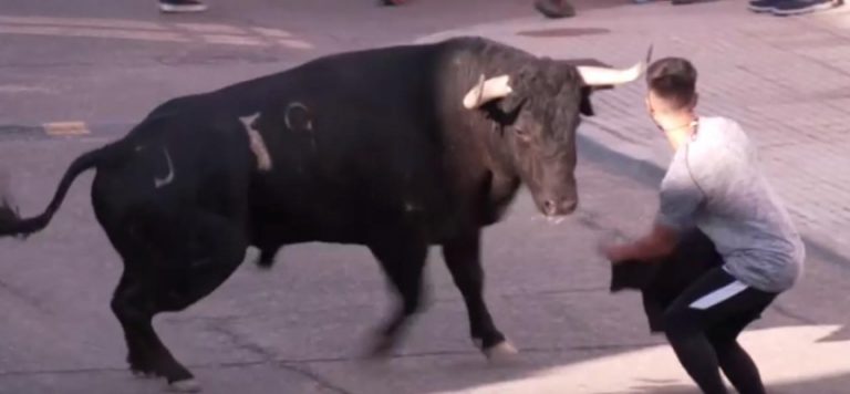 İspanya’da salgının başından bu yana ilk boğa koşusu