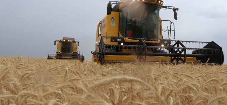 TARSİM, üreticilere 214 milyon liralık kuraklık ödemesi yaptı