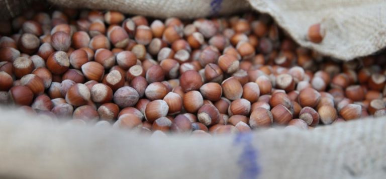 Almanya’ya 70 bin ton fındık ihraç edildi