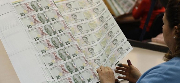 Son tertip 20 TL ve 5 TL banknotlar bugünden itibaren tedavüle veriliyor