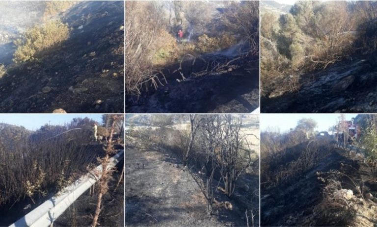 Avtepe-Kuruova köyleri arasında yangın!