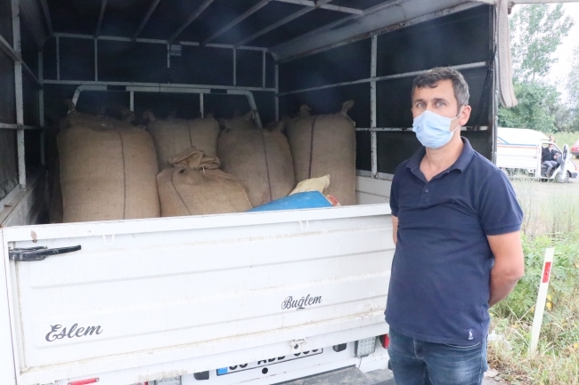 TMO'nun fındık alımları üreticinin yüzünü güldürdü