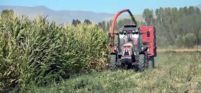 TMO’dan yem fiyatlarını düşürmek için hamle