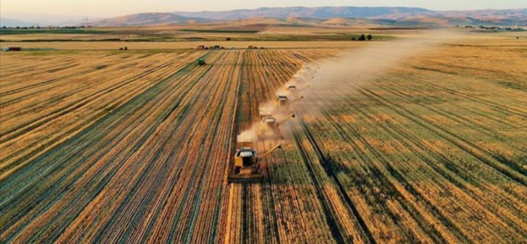 Tarım ÜFE eylülde aylık bazda yüzde 1,46 arttı