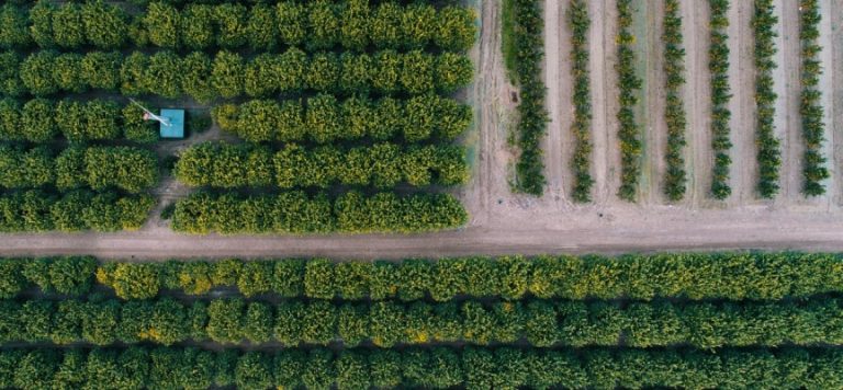 Tarıma 2022 yılı için ayrılan bütçe yüzde 25,5 artırıldı