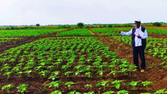 Sudan'da Türk tohumu üretilecek