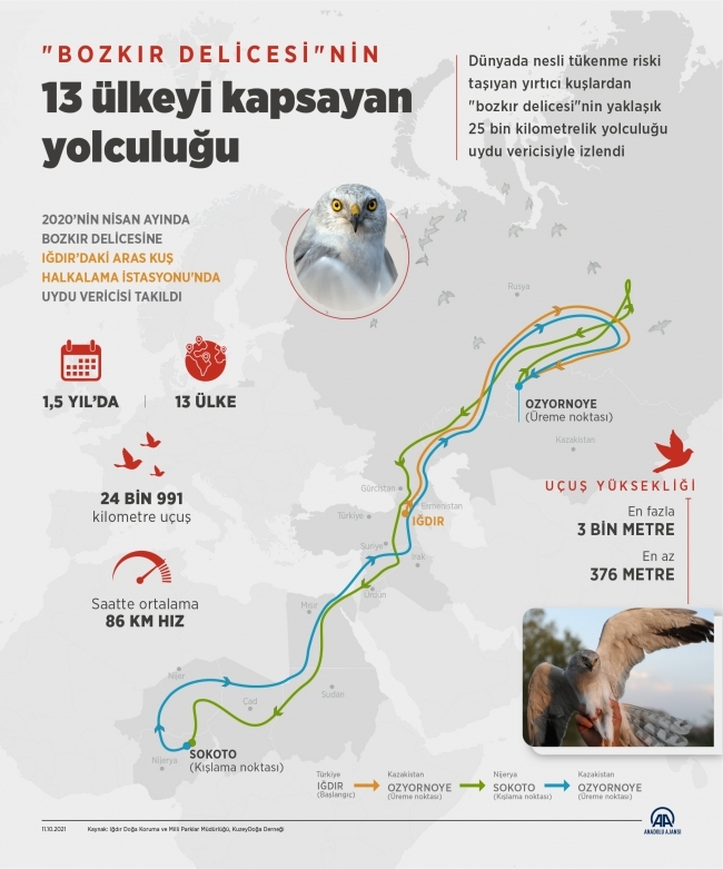 Bozkır delicesinin 2 kıta ve 13 ülkeyi kapsayan göç yolculuğu