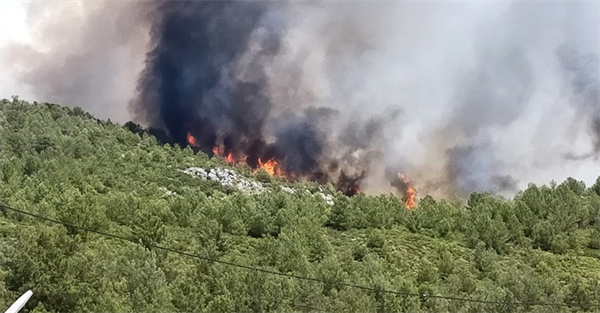 Alevkayası’nda yangın!