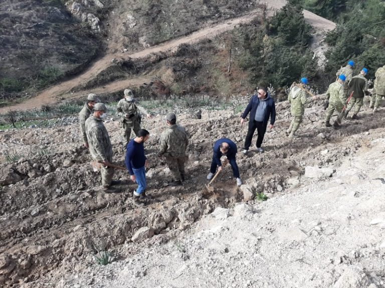 Karşıyaka’da Temmuz ayında yanan ormanlık alan yeniden yeşillendiriliyor