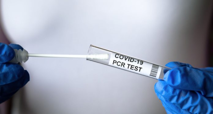 pcr-test.jpg