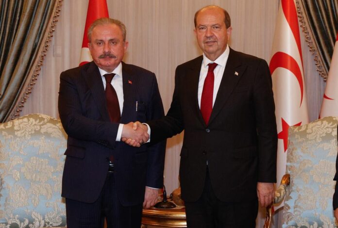 tatar-sentop-1-.jpeg