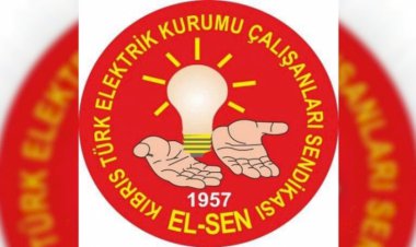 elsen7.jpg