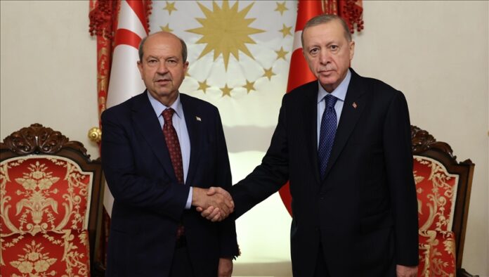 erdogan-tatar4.jpg