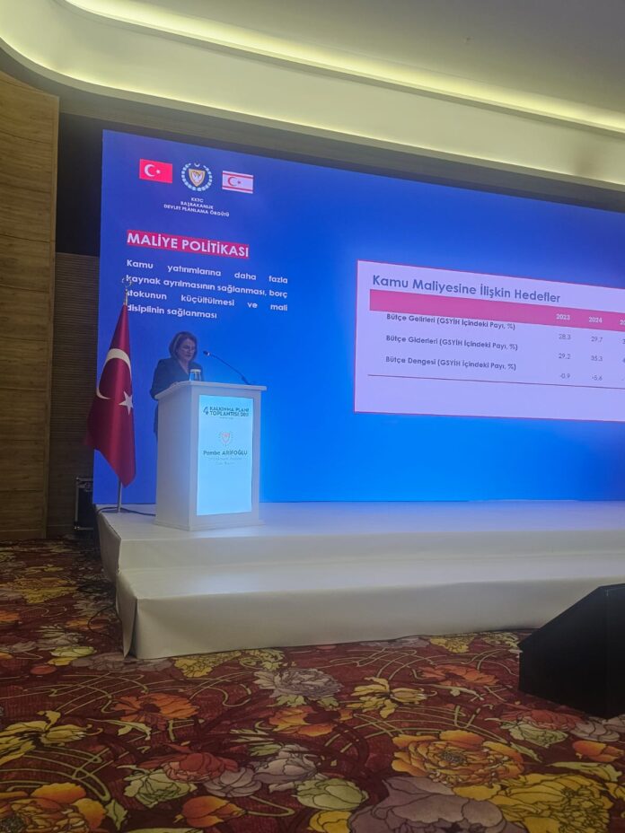 1738156728654Pembe-Arifoglu.jpg