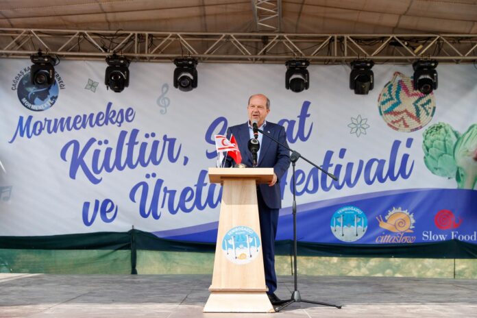 1743945368648TATAR-MORMENEKSE-6.jpg