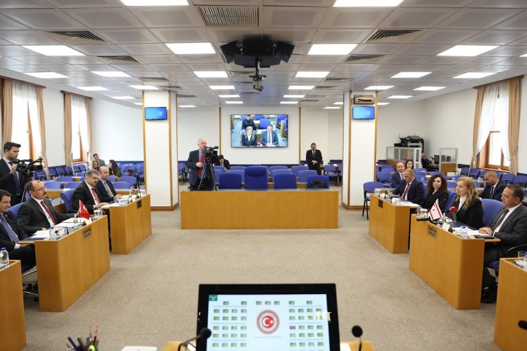TBMM Plan ve Bütçe Komisyonu Başkanı Muş:Sürekli şımartılan bir GKRY var. Hem  TC’nin hem de Kıbrıs Türkü’nün Ada’daki varlığı, onların karşısında en büyük caydırıcı güç olarak yer alıyor