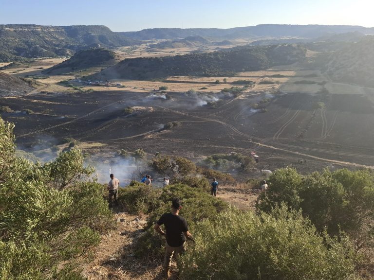 Avtepe-Kuruova arasındaki yangında  400 dönüm arazi zarar gördü