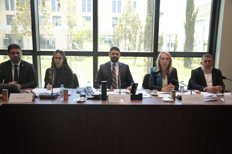 Tapu ve Kadastro Dairesi ile Yataklı Tedavi Kurumları Dairesi yasa tasarılarına komiteden onay…