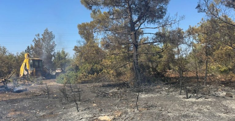 Esentepe-Karaağaç bölgesindeki yangına 29 muhtelif cinste araçla müdahale edildi